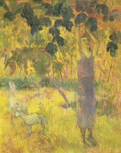 Hombre recogiendo fruta de un árbol, 1897 de Paul Gauguin